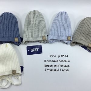 Купити оптом демісезонні шапки на хлопчика, Р.42-44, AGBO U16 CHICO (ПОЛЬЩА)