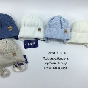 Купити оптом демісезонні шапки на хлопчика, Р.40-42, AGBO U16 DAVID (ПОЛЬЩА)