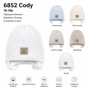 Купити оптом демісезонні шапки на хлопчика, Р.36-38, AGBO 6852a CODY (ПОЛЬЩА)